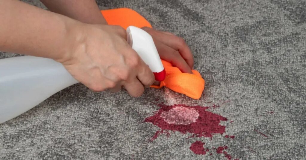 stain removal columbia sc