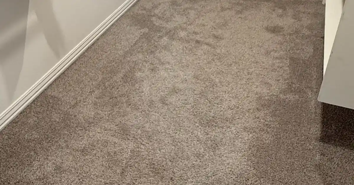 Carpet Cleaning Charlotte NC