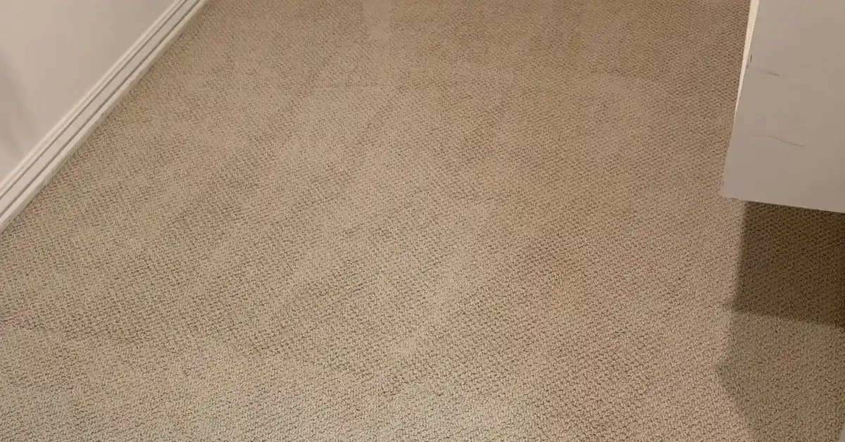 Carpet Cleaning Charlotte NC