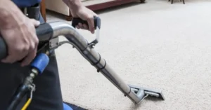 Professional Carpet Cleaning