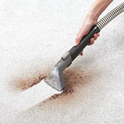 Pet Stain Removal Charlotte NC