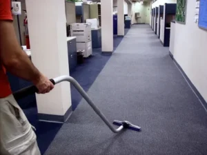 How Often Should a Charleston Office Have Its Carpet Professionally Cleaned?