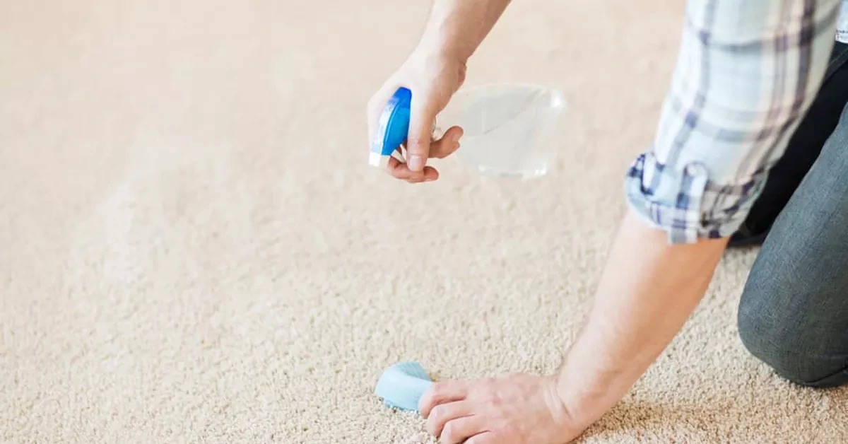 dog pee on rug